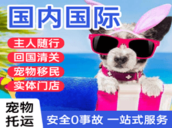 西庆航空邮寄国际宠物托运 【国